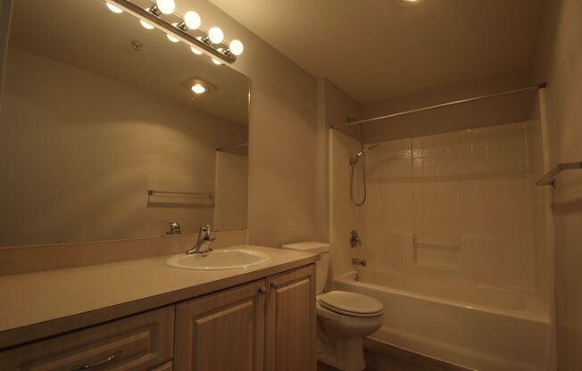 Studio, 1 bath, 413 sqft, $1,150, Unit 402