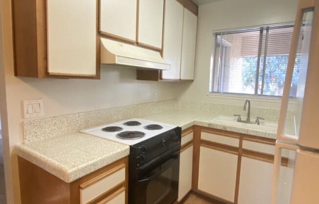 Brittany House 480 Boynton Avenue  San Jose, CA 95117 kitchen view of white and honey oak cabinets