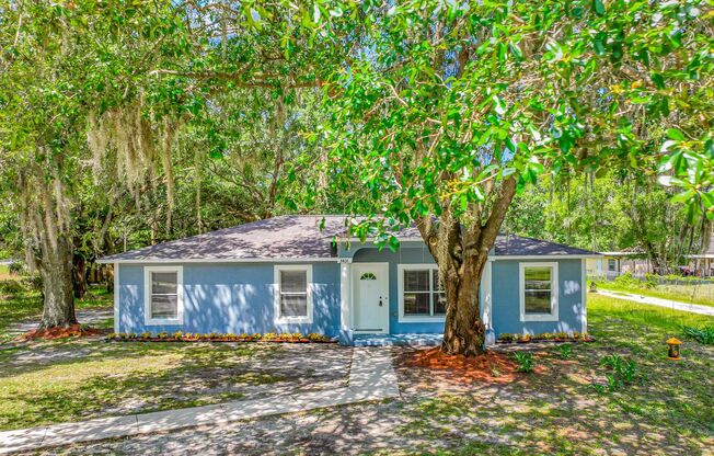 Available Now! - Beautiful 4 Bedroom Plant City House!
