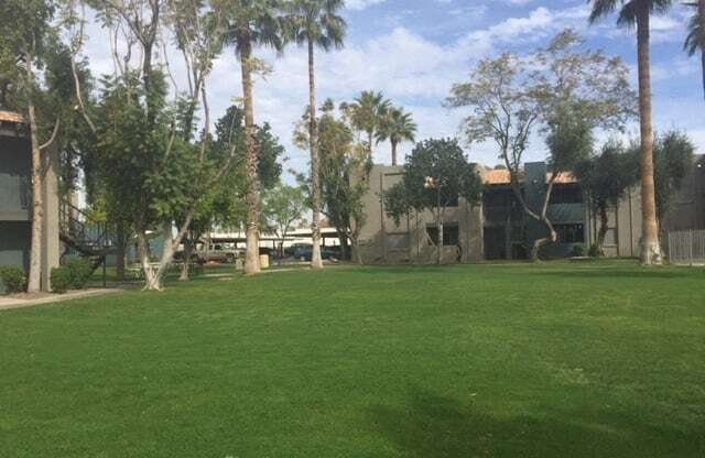 a large lawn with palm trees in front of a building