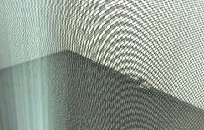 Studio, 1 bath, 574 sqft, $2,095, Unit Unit 209