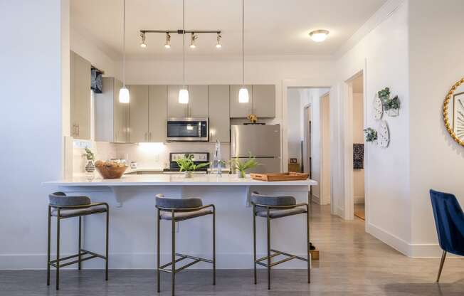 luxury kitchen at Reveal on the Lake apartments