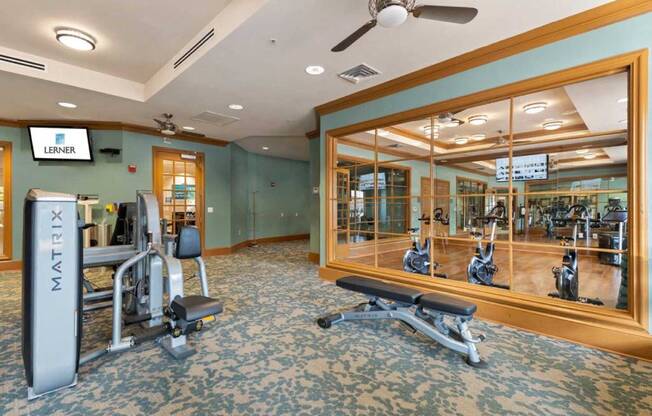 a gym with weights and a mirror in a home gym