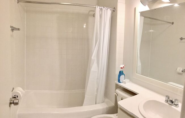 Studio, 1 bath, 332 sqft, $1,350, Unit 515