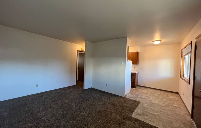 1 bed, 1 bath, 600 sqft, $925, Unit N-1