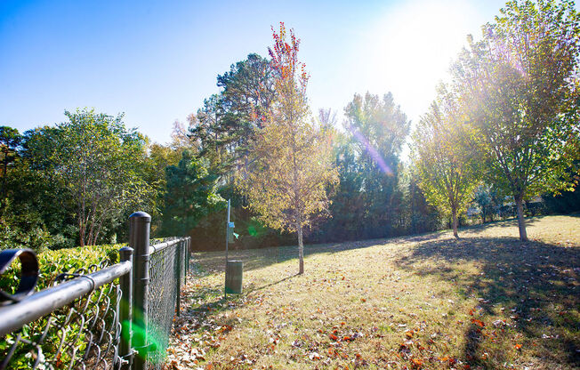 a park with trees and a fence