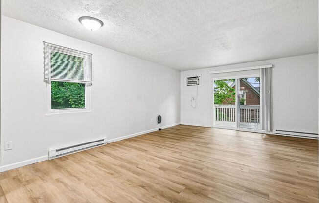 Newly Renovated Apartments