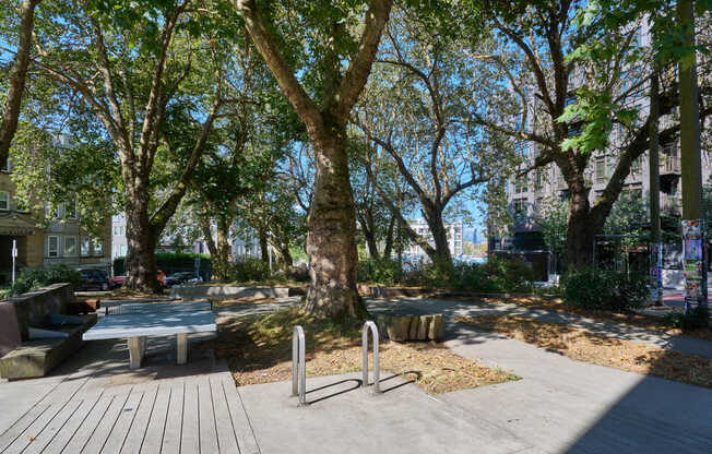 McGilvra Place Park provides a green space amidst the city