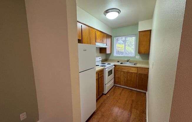 1 bed, 1 bath, 590 sqft, $1,250, Unit 202