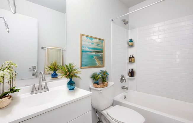 3 beds, 1 bath, 800 sqft, $1,125, Unit 1829P