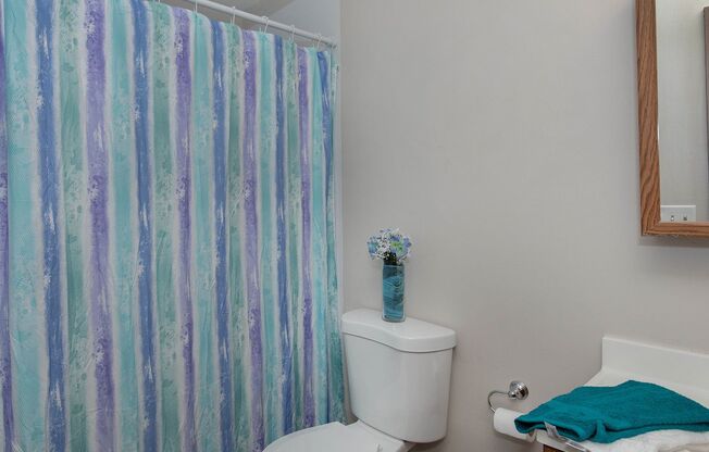 1 bed, 1 bath, 650 sqft, $725, Unit 3535 N Main Street Apt C-3