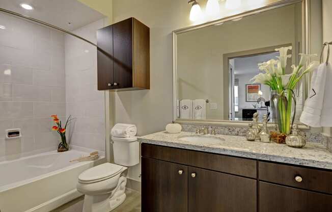 Large, Spa-Inspired Bathrooms at South Park by Windsor, Los Angeles, California