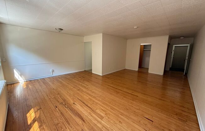 Studio, 1 bath, 487 sqft, $1,250, Unit Fifth 306