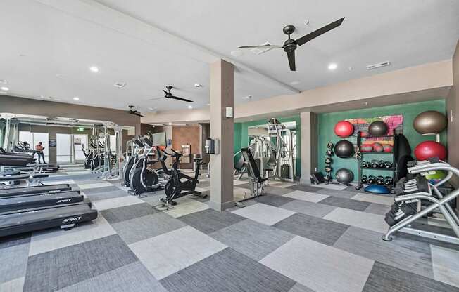 A gym with treadmills, exercise bikes, and weights.