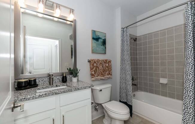 a bathroom with a sink and a toilet and a shower