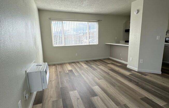 Studio, 1 bath, 410 sqft, $950, Unit 487-16