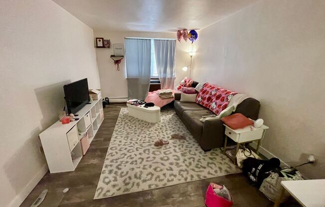 1 bed, 1 bath, $1,095, Unit 307