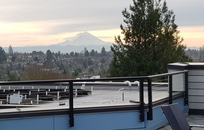 Studio, 1 bath, 355 sqft, $1,233, Unit 407
