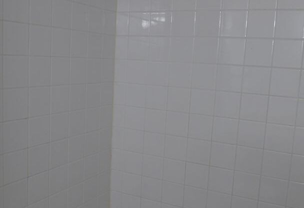 1 bed, 1 bath, 825 sqft, $1,950, Unit 503