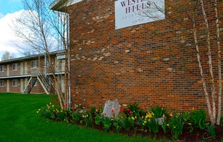 Partner-provided photo for $610 unit