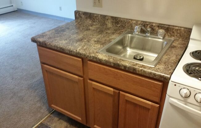 Studio, 1 bath, 350 sqft, $1,115, Unit 121-2B