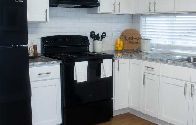 The Element at River Pointe apartments in Jacksonville Florida photo of kitchen.