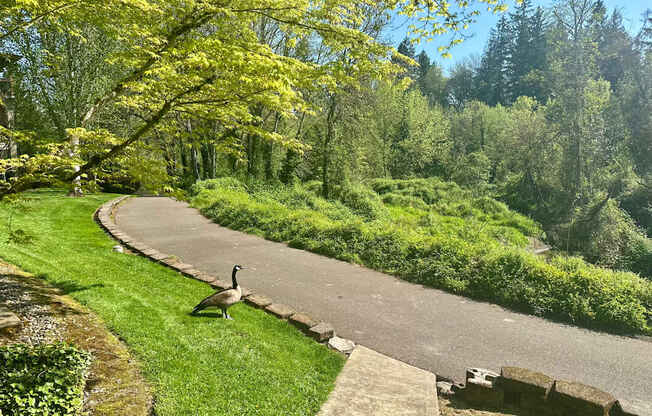Fanno Creek Village