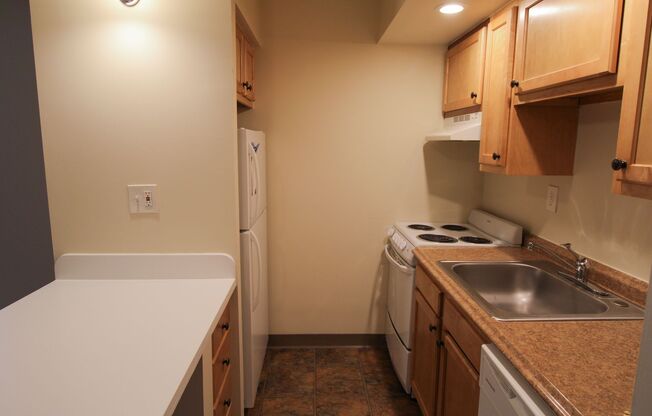 Studio, 1 bath, 520 sqft, $850, Unit 107