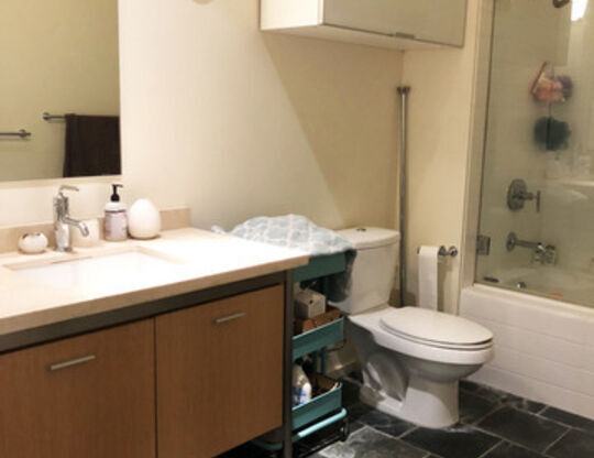 1 bed, 1 bath, 920 sqft, $2,800, Unit 1309