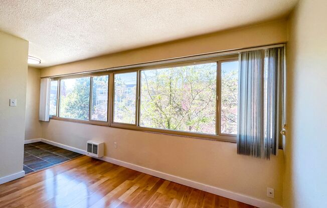 1 bed, 1 bath, 540 sqft, $1,645, Unit 203