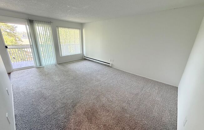 View at the Lake I | New Management + Specials | Patio, Parking & On-Site Laundry
