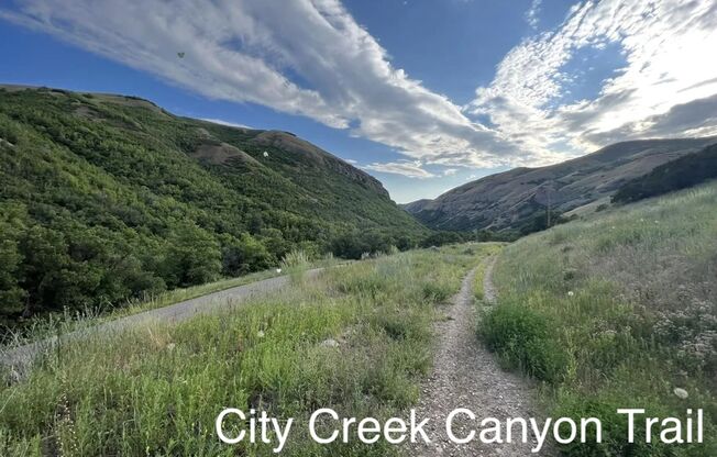 1 bed, 1 bath, 500 sqft, $999, Unit 14 - R