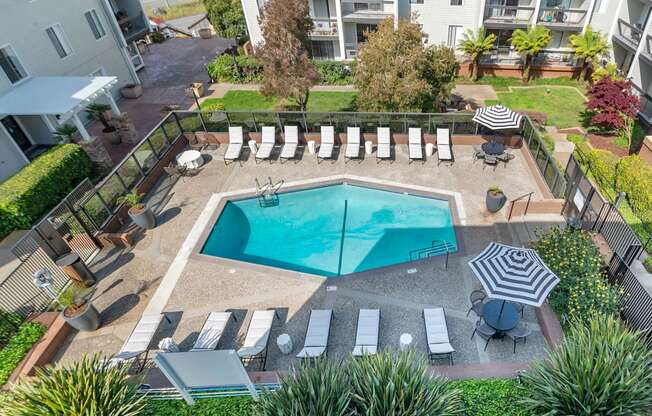 an aerial view of a pool with chairs and umbrellas at Delphine on Diamond, San Francisco, California