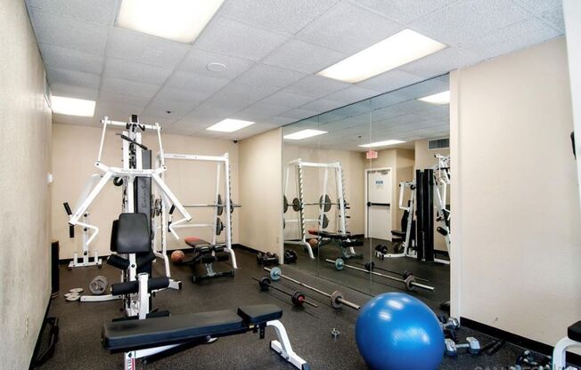 1 bed, 1 bath, $2,295, Unit 402