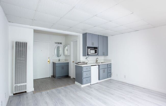 Studio, 1 bath, 265 sqft, $1,425, Unit 111