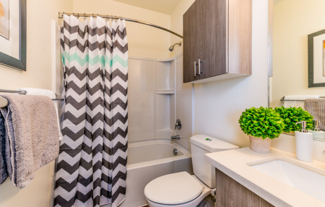 Studio, 1 bath, 258 sqft, $1,178, Unit Bespoke Ballard 1506 Unit 204