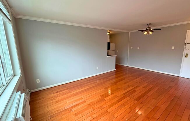 Light-Filled 1BR, 1BA in the Heart of Brookland