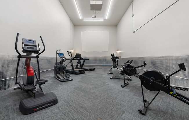 Workout Equipment in the Gym