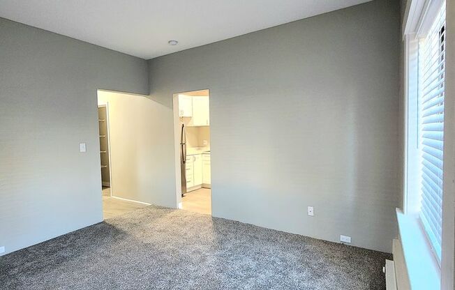 Studio, 1 bath, 415 sqft, $1,100, Unit 110