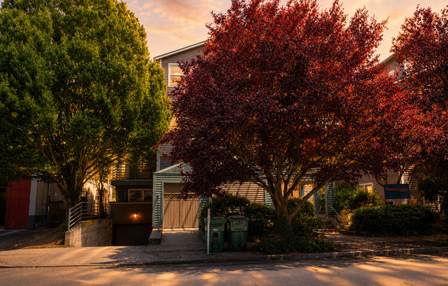 1 bed, 1 bath, 525 sqft, $1,715, Unit 101