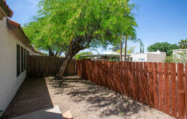 Backyard at Orange Tree Village Apartments in Tucson AZ