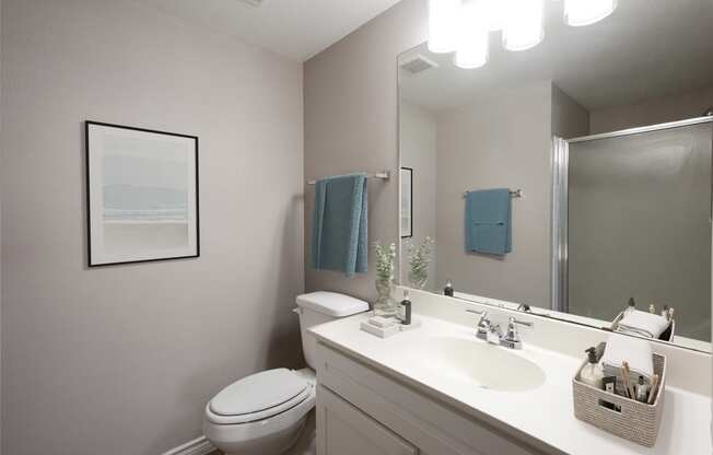 Bathroom at Links at Forest Creek in Round Rock Texas near Austin