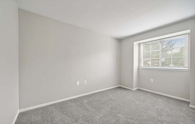an empty room with carpet and a window  at ReNew Odenton