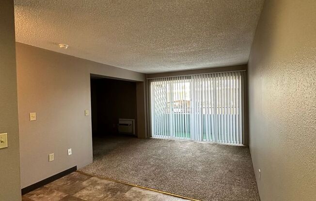 Studio, 1 bath, 440 sqft, $1,065, Unit 207