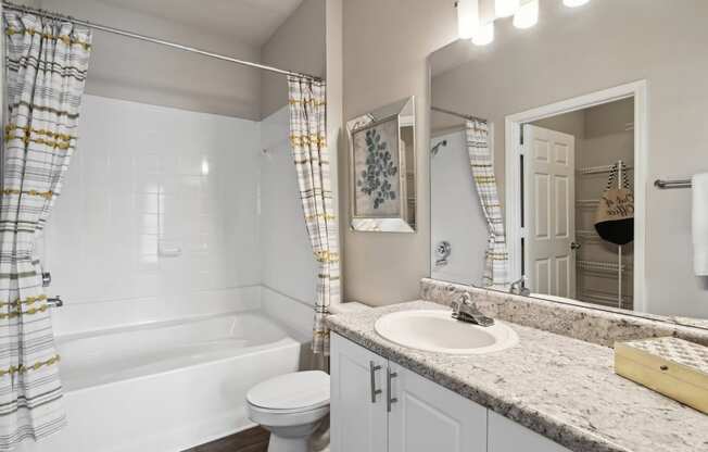 a bathroom with a sink and a toilet and a bath tub