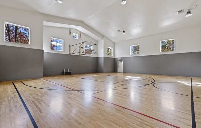 Basketball Court