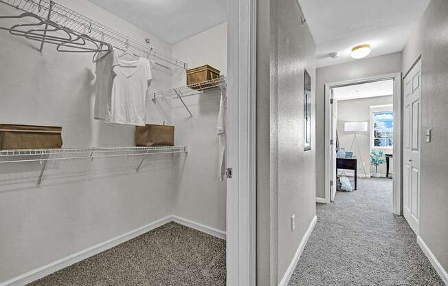 Walk-In Closet With Built-In Shelving