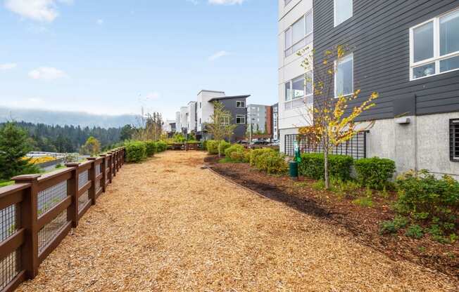 Fenced Dog Park at Discovery West, Issaquah