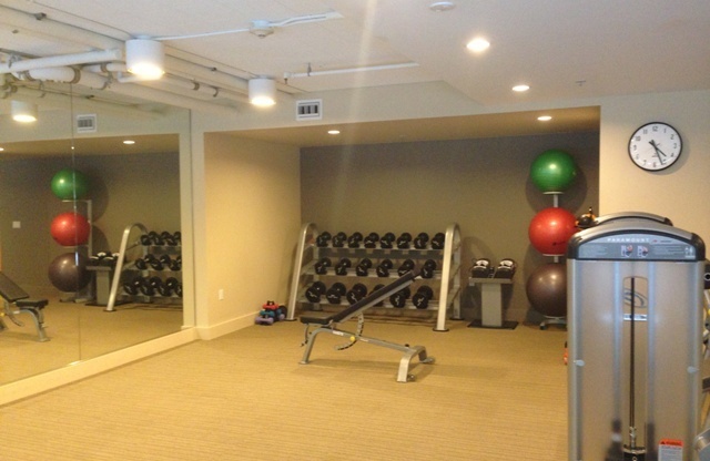 1 bed, 1 bath, $4,200