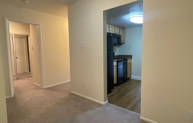 1 bed, 1 bath, 745 sqft, $1,750, Unit 14204 #A1